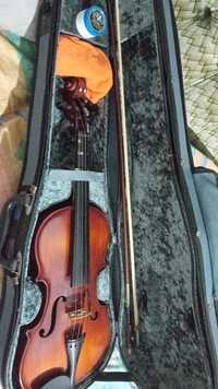 Dois violinos de aprendizagem