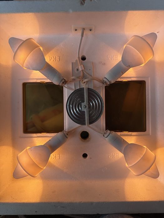 Міні-інкубатор Квочка на 70 яєць