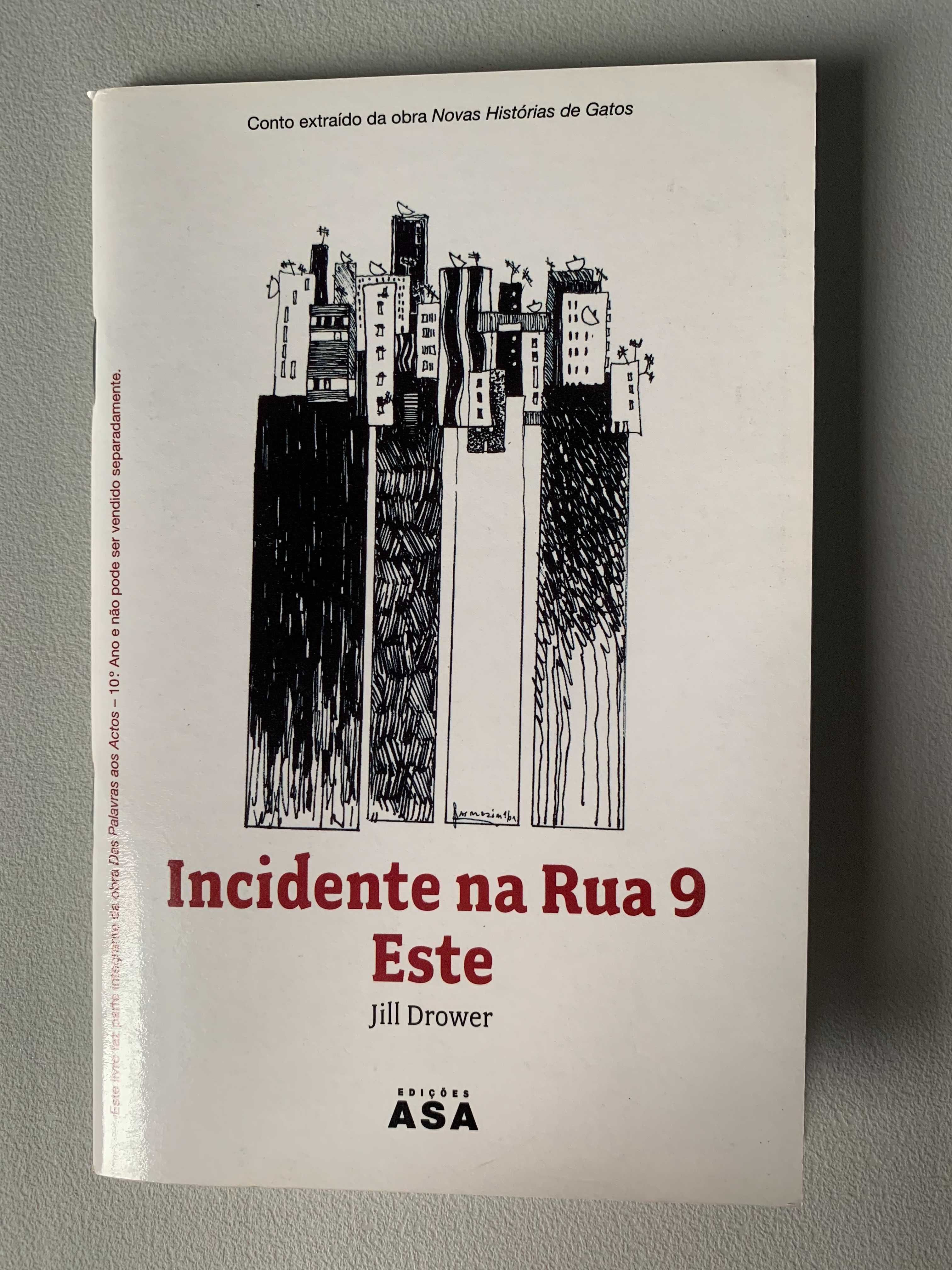 O Canto da Corvina Preta / Incidente na Rua 9 Este