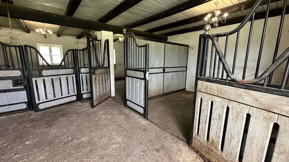 Продаж масштабного готового бізнесу