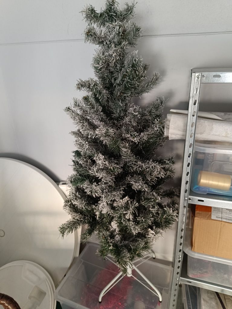 Pinheiro de natal