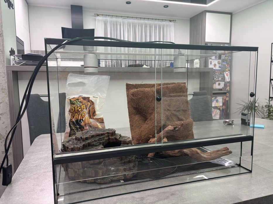 Terrarium dla gekona