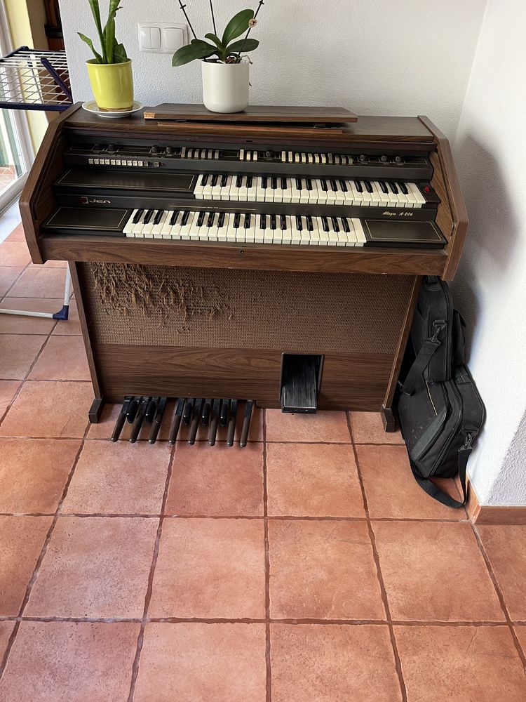 Vendo Órgão electronico Jen