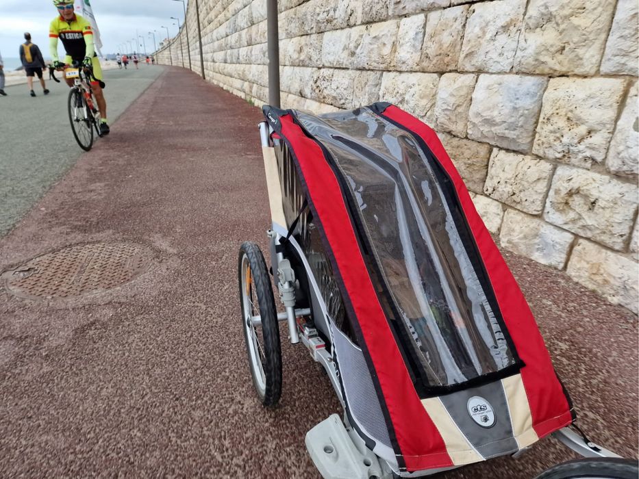 Chariot Tule Cougar 1