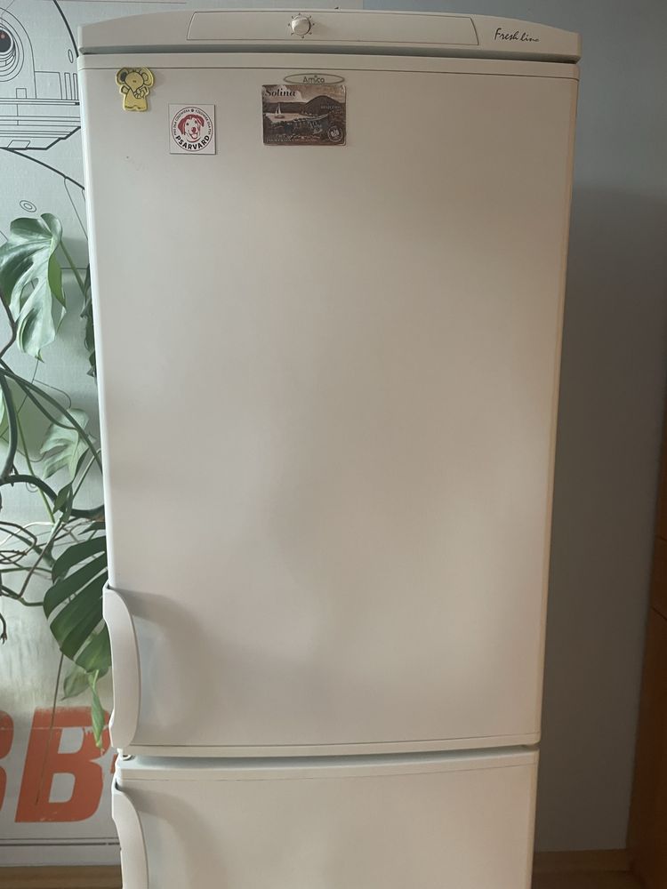 Lodowka Amica 160cm