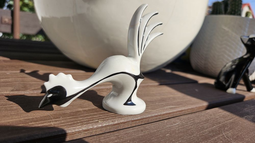 New Look Ćmielów Kogut