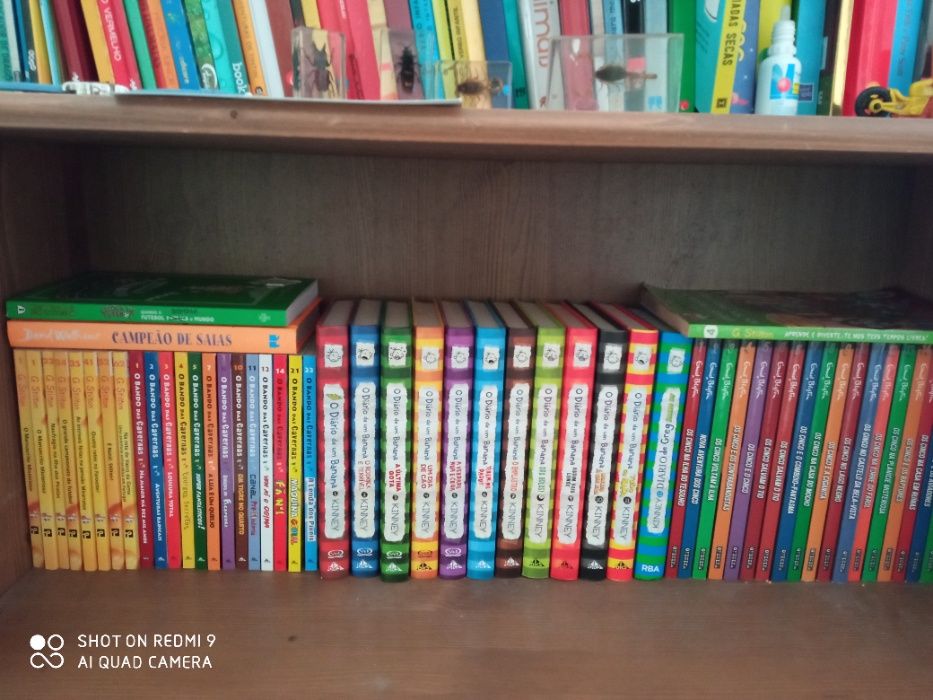 Livro Geronimo Stilton e os Cinco