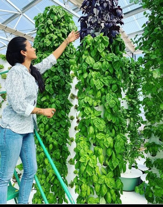 Torre de aeroponia vertical Groho para 64 plantas - novo