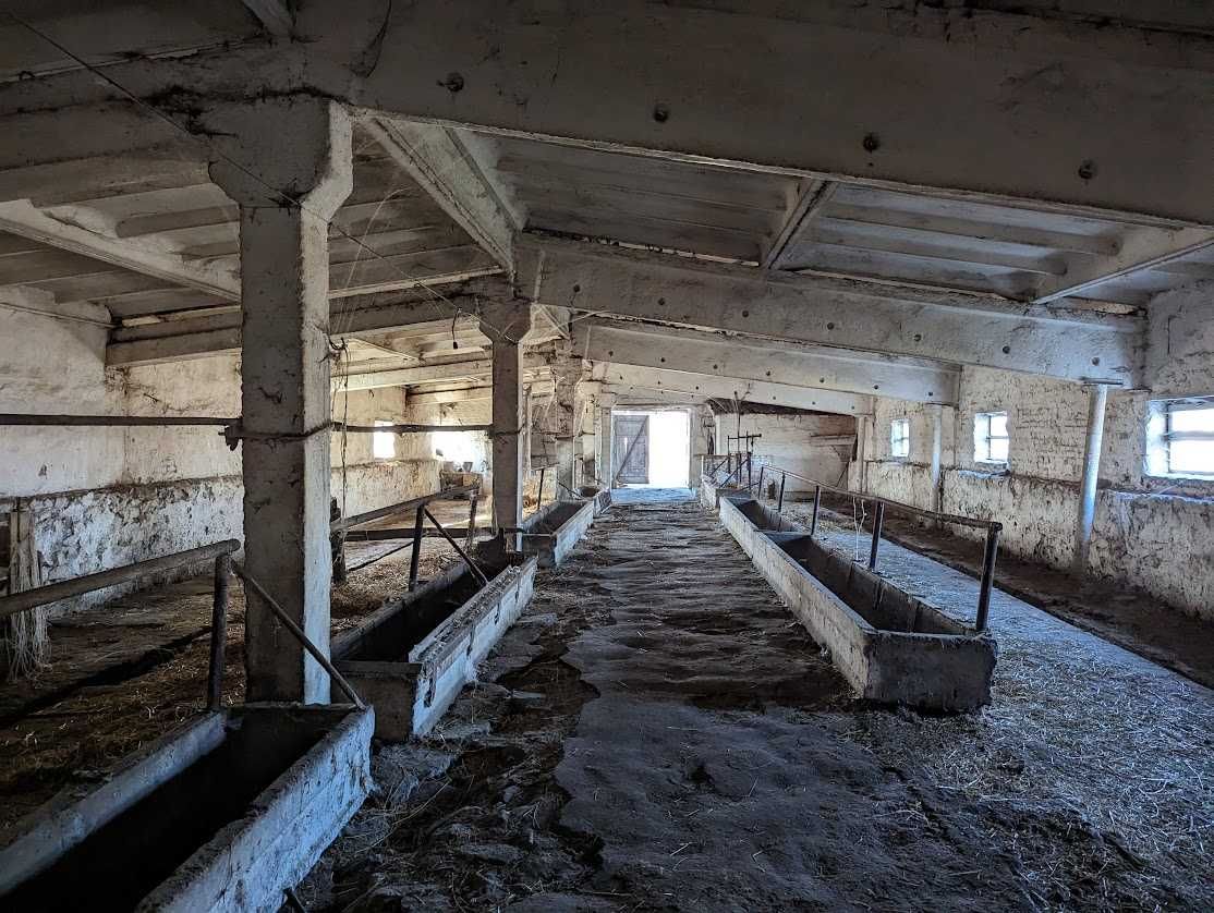 Продам приміщення ферми 800 кв.м біля Шполи, ділянка 1,1 га
