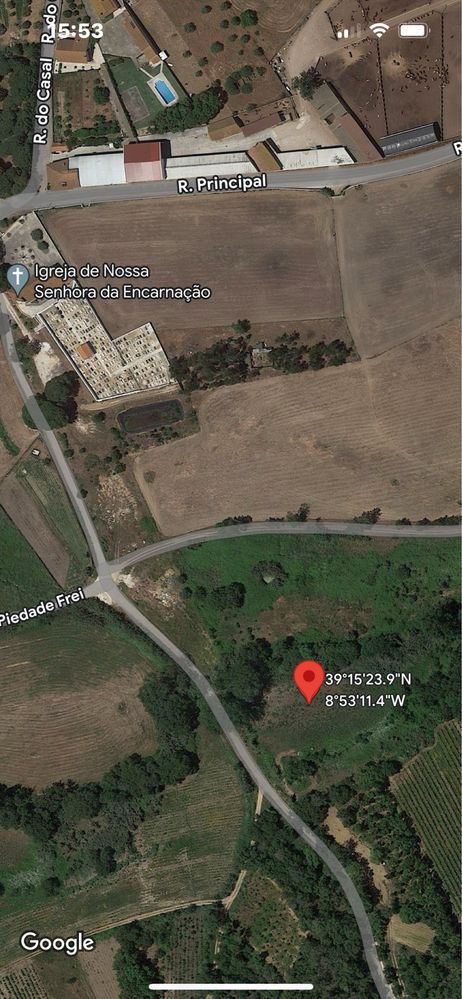 Quintinha com 7000 2m em a 77 km de Lisboa Arrouquelas concelho de Rio Maior