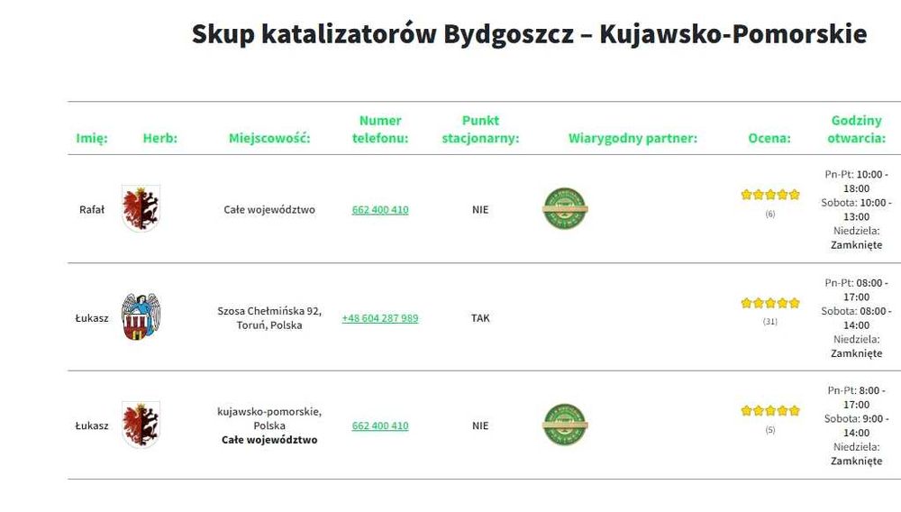 Największy Skup katalizatorów Monolitu Filtrów DPF -Brodnica