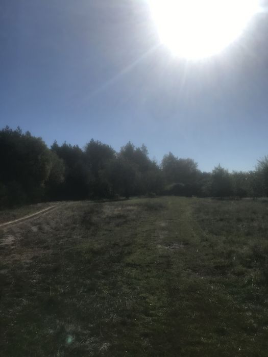 Продається земельна ділянка