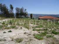 Terreno de 900 m2 em Golães