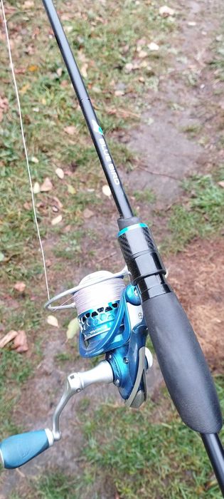 Favorite Blue bird комплект.