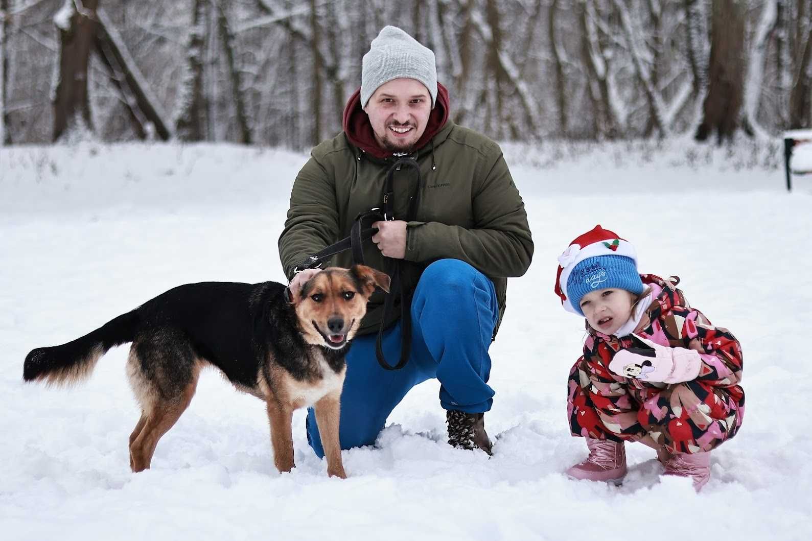 STORMI- 1,5 roku, 14kg, niebieskie plamki na oczach -mix husky. [FILM}