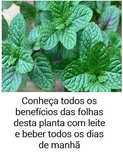 Tomo conta de idoso ou idosa