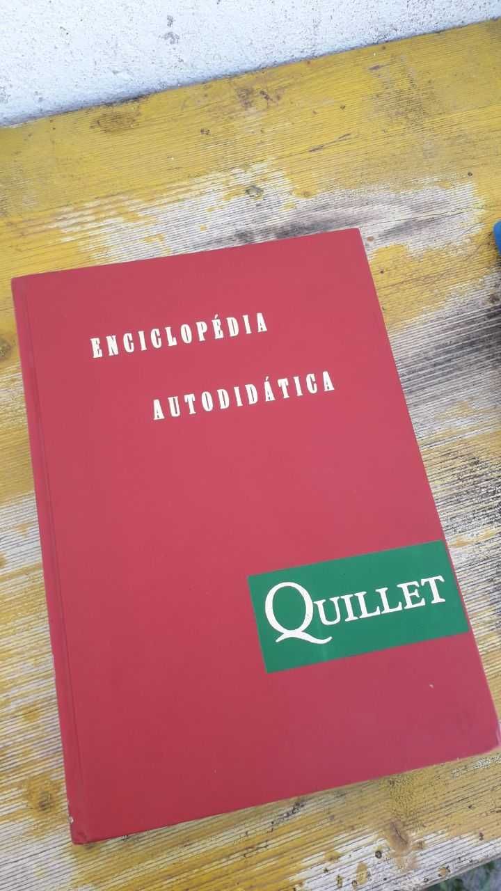 Enciclopedia Autodidatica Quillet volumes 1 e 2