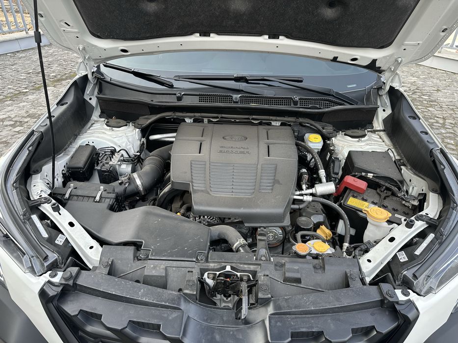 Subaru Forester Wilderness