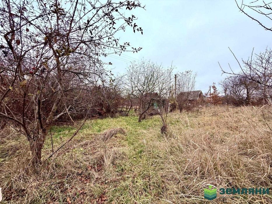 Продається дачна ділянка у с. Хриплин (7)