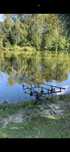 Карповые палки carp pro