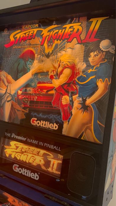 Flippers Street Fighter ll