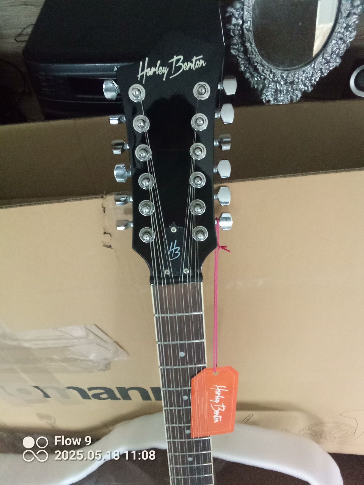Gitara elektryczna dwunastostrunowa