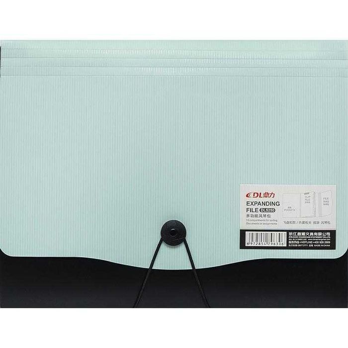 Папка на резинке А4 с 12 отделениями пластиковая для документов