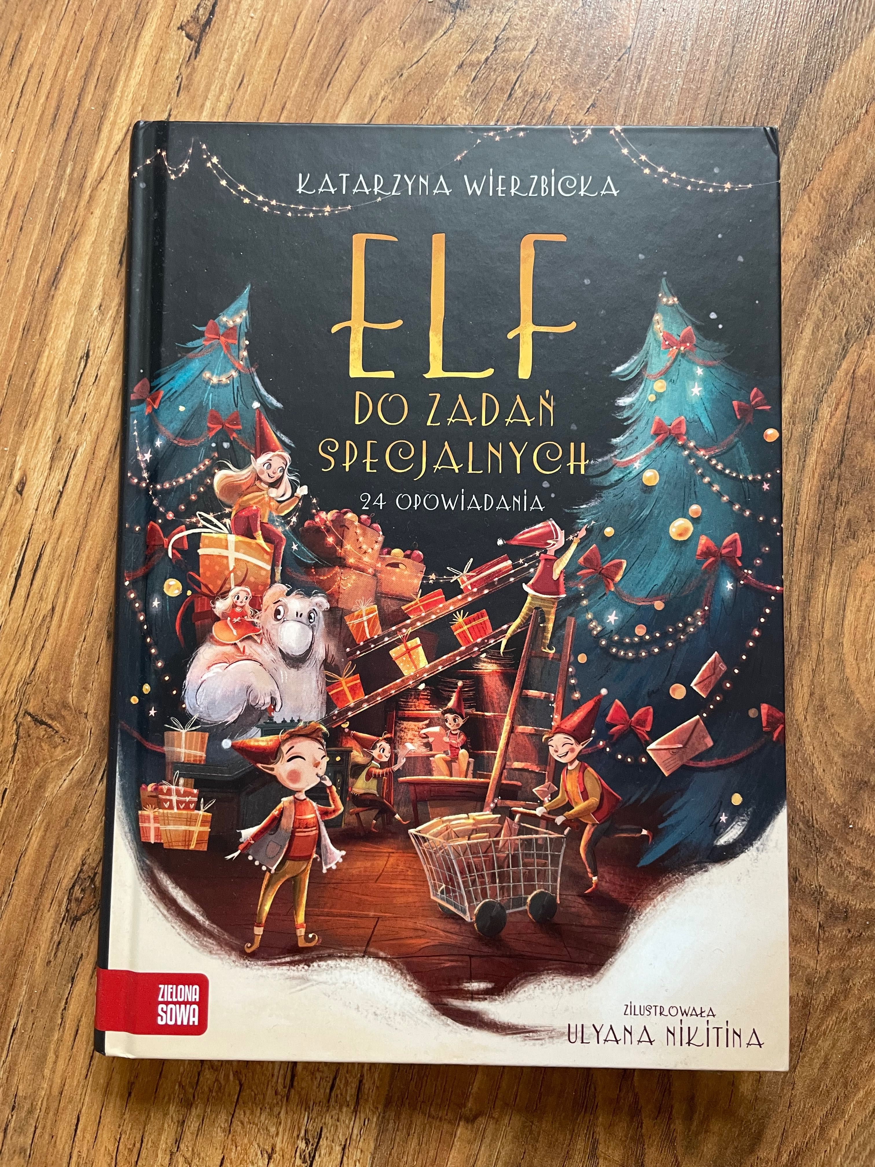 Elf do zadań specjalnych Katarzyna Wierzbicka