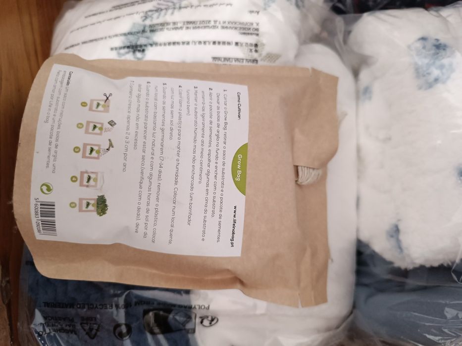 Pinheiro de Natal para plantar