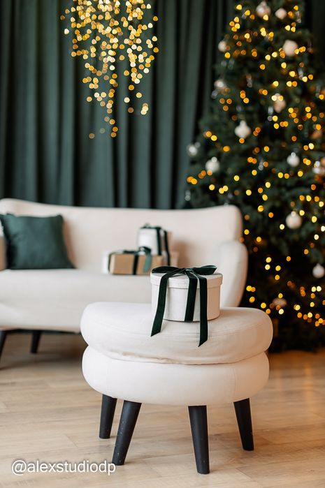 Фотостудія Дніпро.,Сімейна, Новорічна, Дитяча фотосесії. Оренда студії