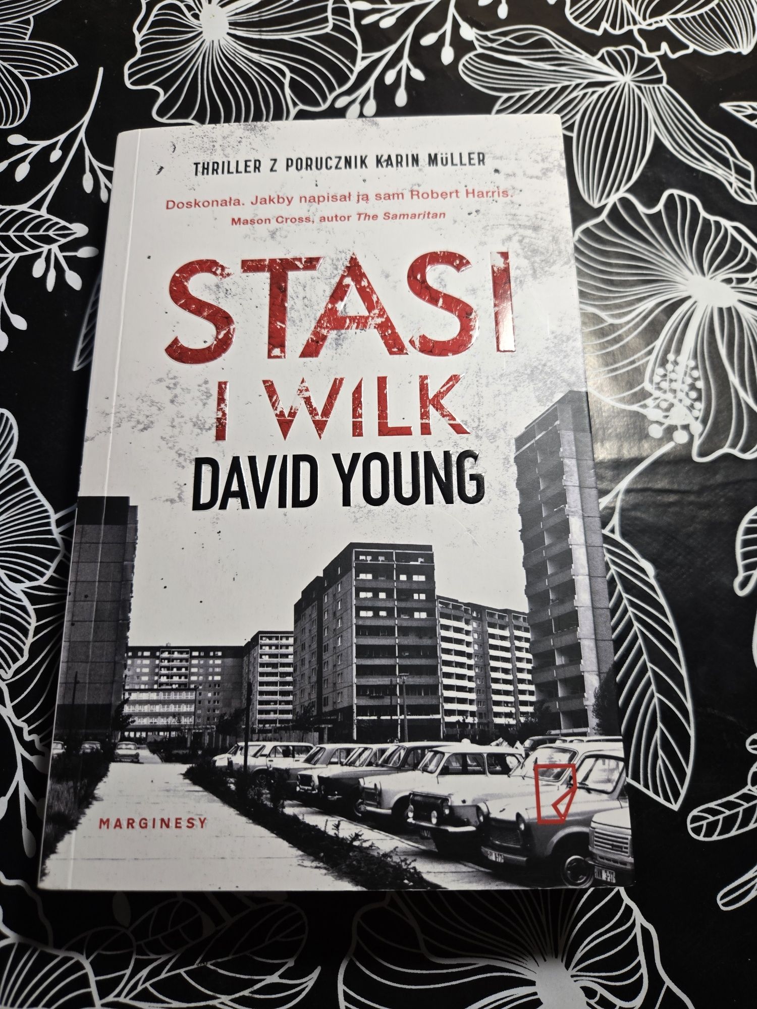 Książka Stasi i wilk