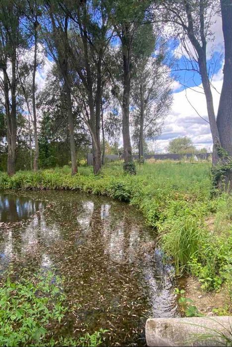 Продаж земля 15 соток Юрівка Київська 7 км від Києва ліс водойма