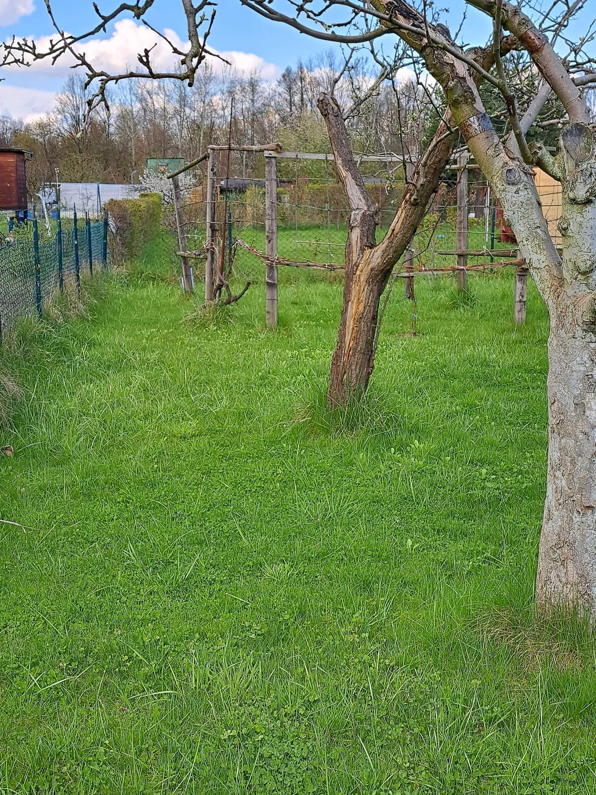 Sprzedam ogród przy ul. Kosmonautów ,obok Glinianek-ROD FANTAZJA