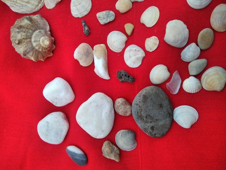 1 пакетом ракушки камешки в аквариум