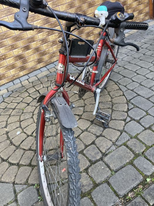 Rower  damski /do negocjacji