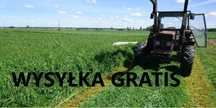 Mieszanka Gorzowska poplony trawy koniczyna lucerna gorczyca wysyłka