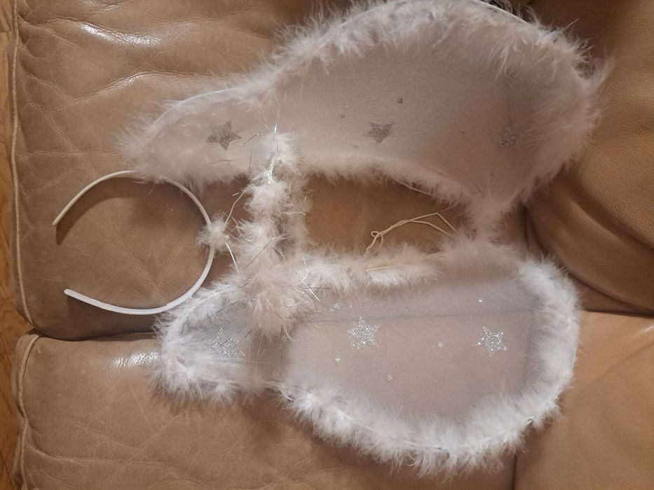 Іграшка дитяча, крила