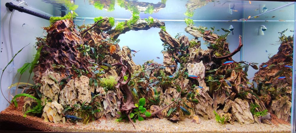 Akwarium cały zestaw 200l optiwhite