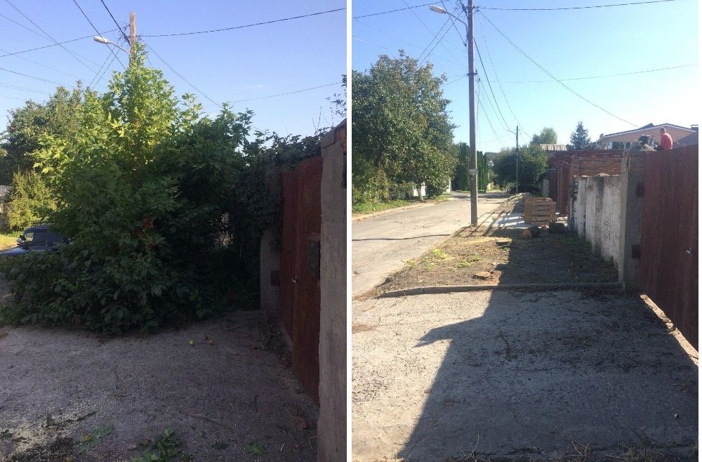 Обрезка Спил деревьев за Деньги Консервацию не предлагать