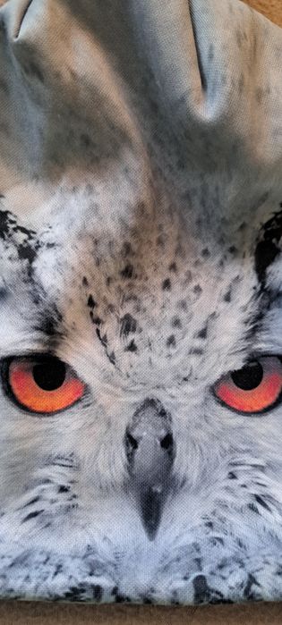 Czapka zimowa Hauer Sowa