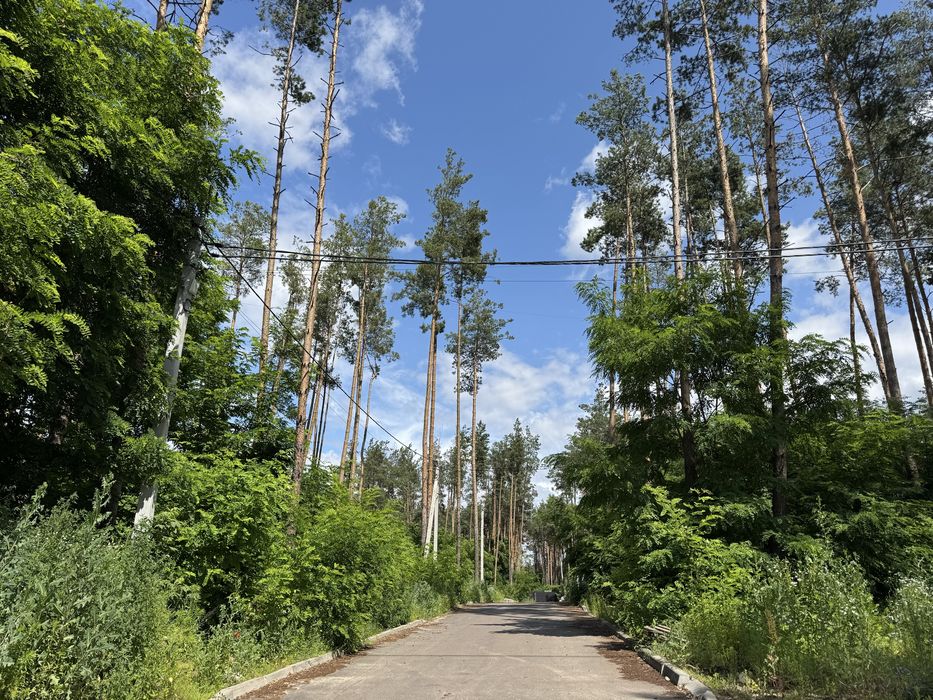 Продаж ділянки 20 соток у СОСНОВОМУ ЛІСІ КМ Нова Ходосівка, Ходосівка