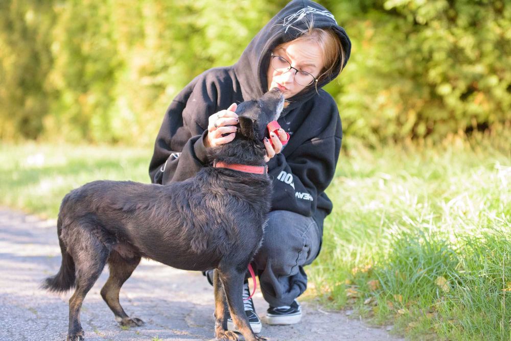 Badu: wierny, nakolankowy towarzysz