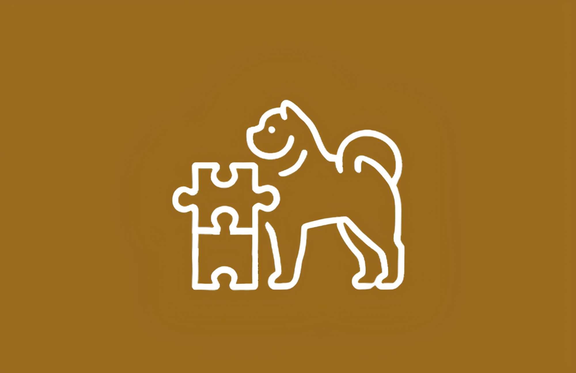 Treino Canino - Obediência e Modificação Comportamental