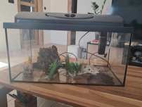 Akwarium 50l z akcesoriami