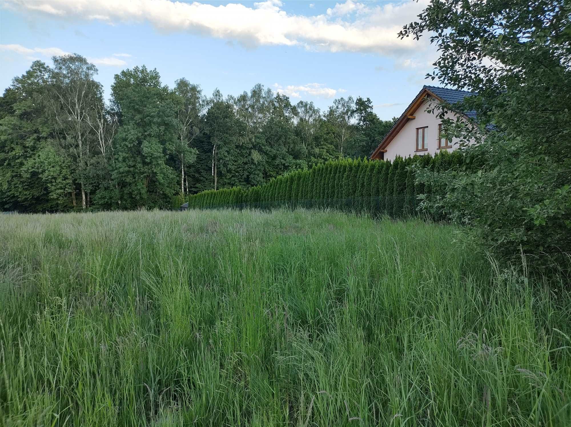 Pisarzowice, piękna działka budowlana. Media, dojazd, ogrodzenie.