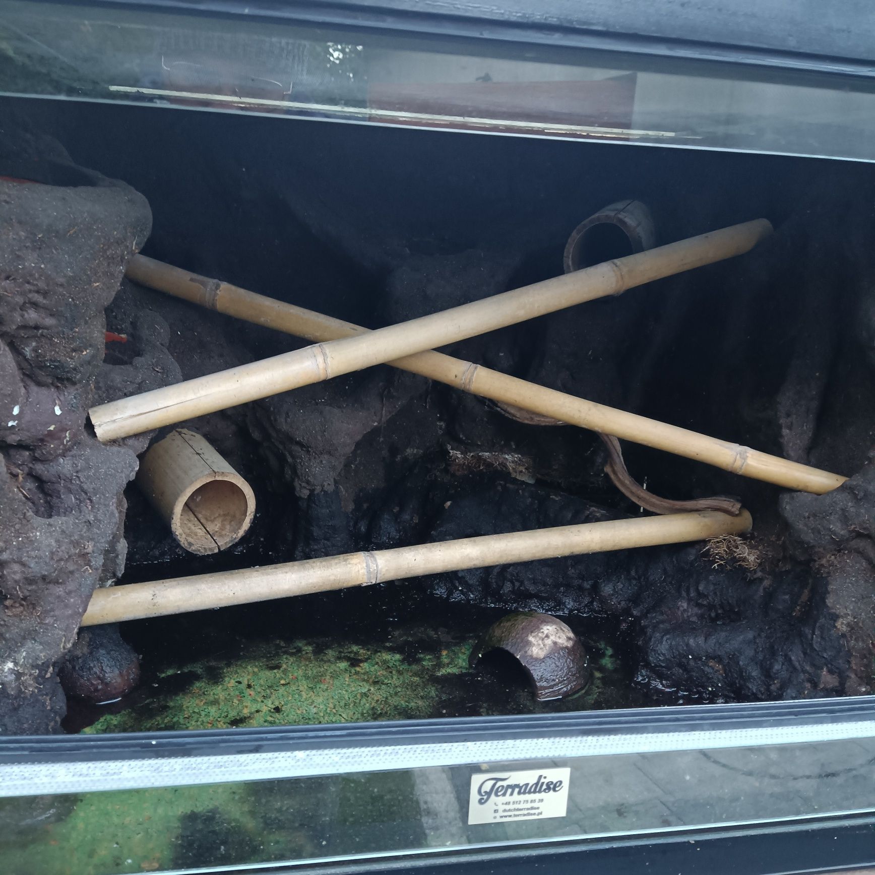 Terrarium wiwarium z podstawa Terradise pyton zielony