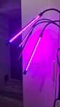 Profesjonalna Lampa LED do Roślin