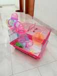 Gaiola hamster com tubos