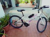 Bicicleta, rodado 24