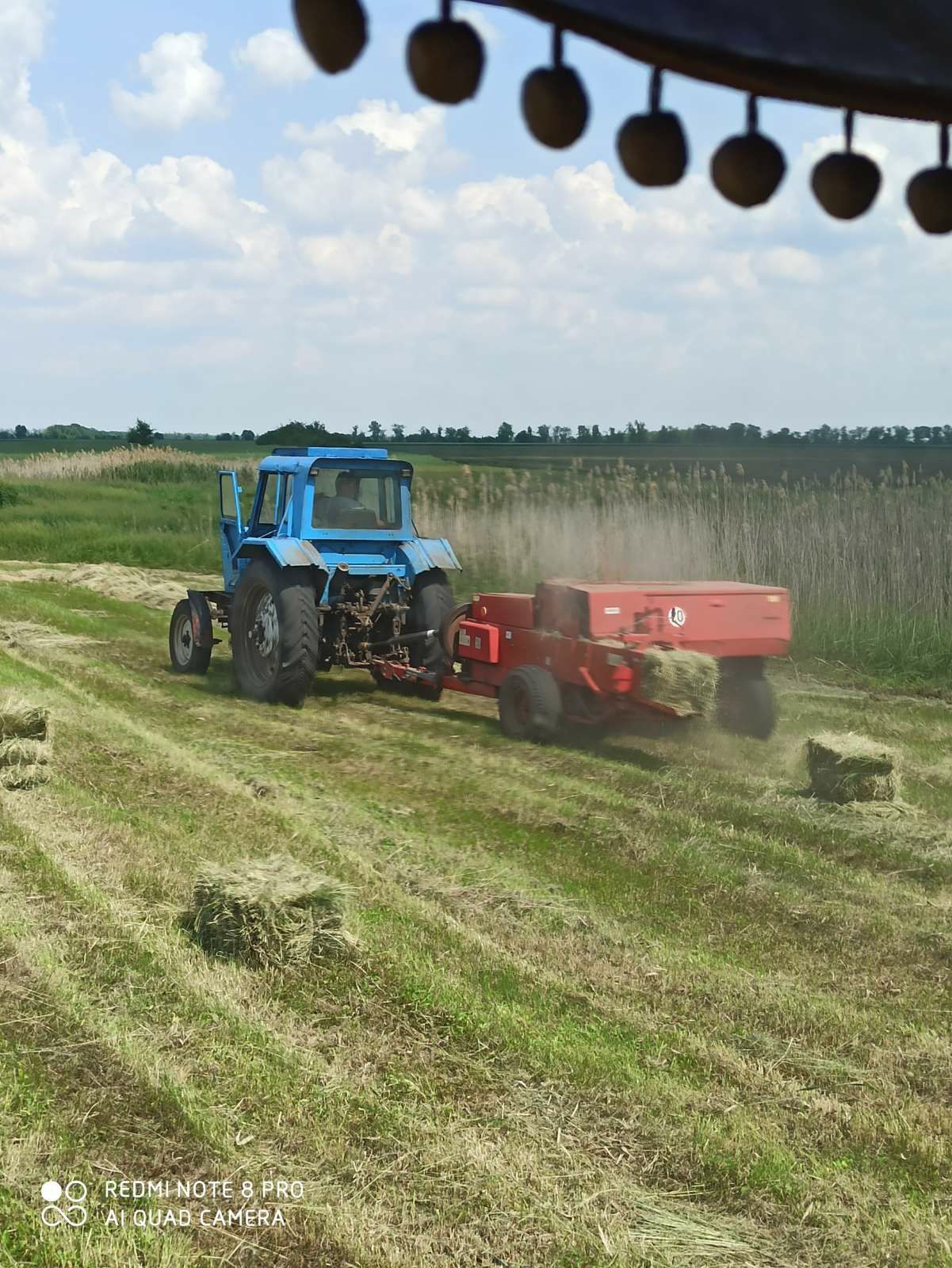 Сено луговое, сено люцерны, солома